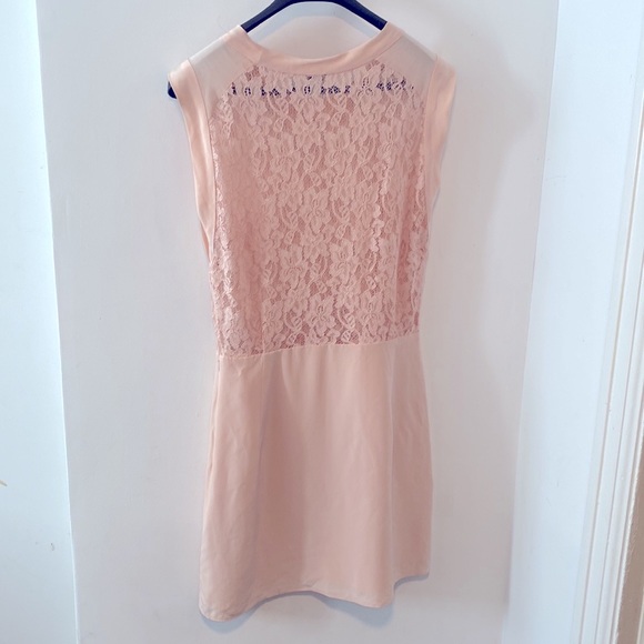Aritzia Wilfred silk light blush pink lace dress size 6 - Picture 6 of 8